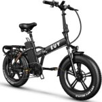 Our Take on the Auloor 750W Folding Fat Tire Ebike Experience