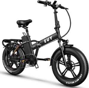 Our Take on the Auloor 750W Folding Fat Tire Ebike Experience