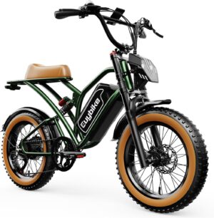 Our Honest Take on the 2000W Dual Motor Fat Tire E-Bike